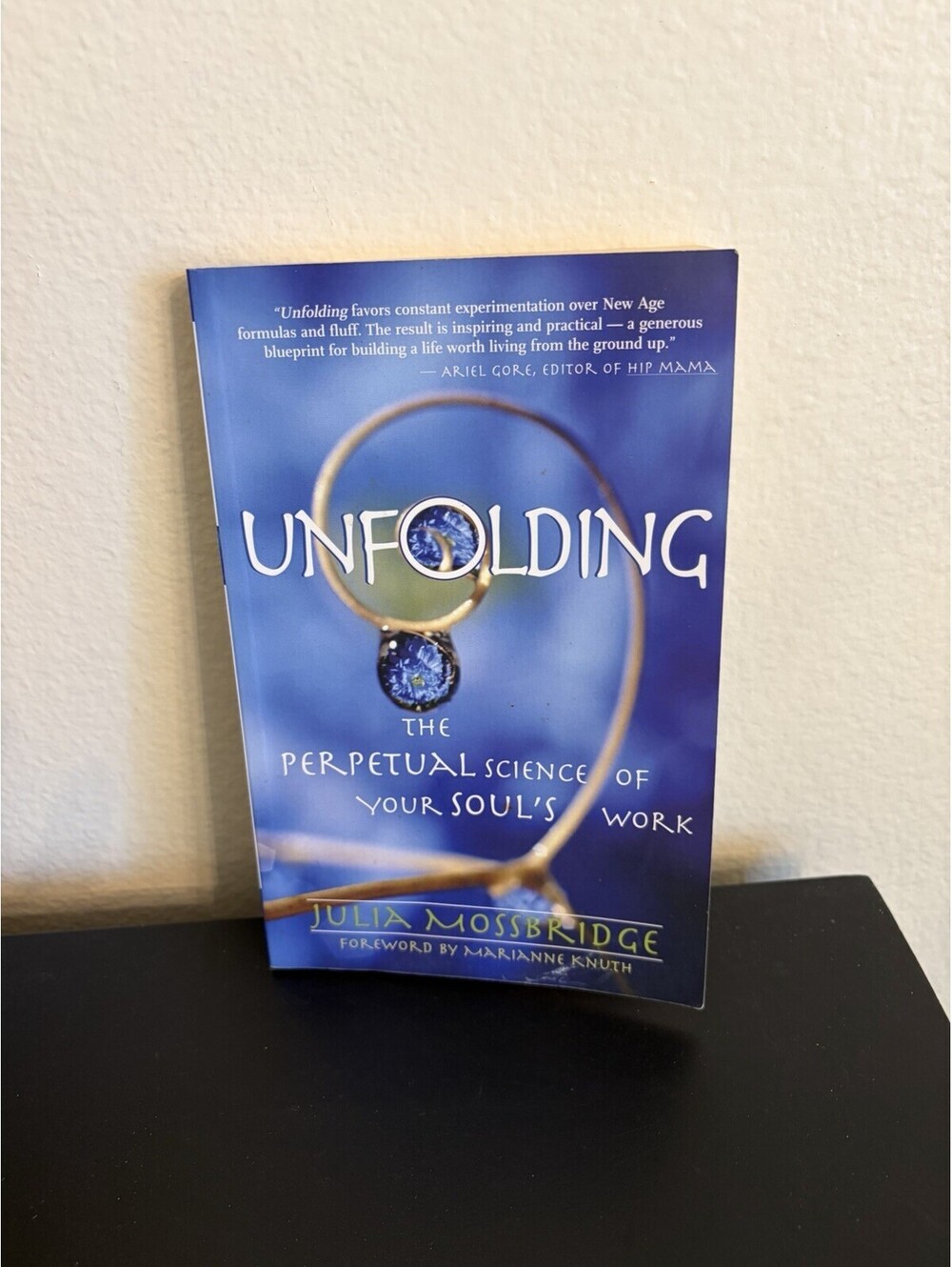Unfolding: The Perpetual Science of Your Soul's Work